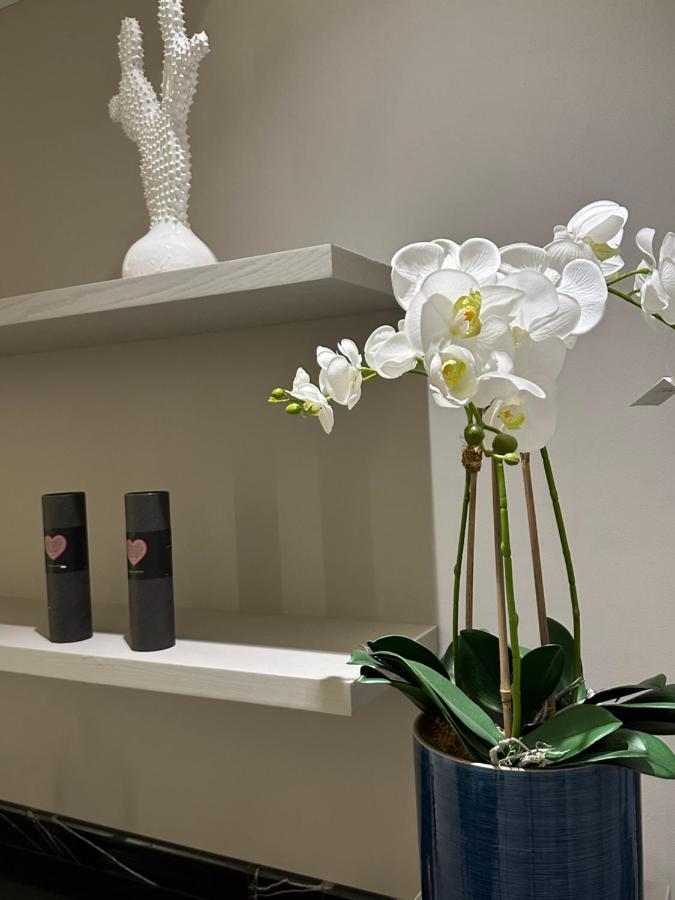 شقه فاخره جدا Appartement